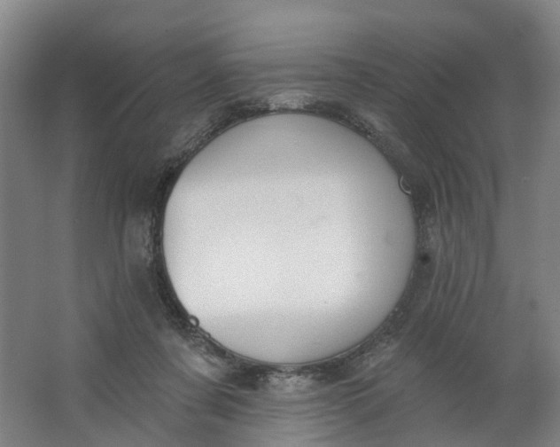 X0000062860311200601271537