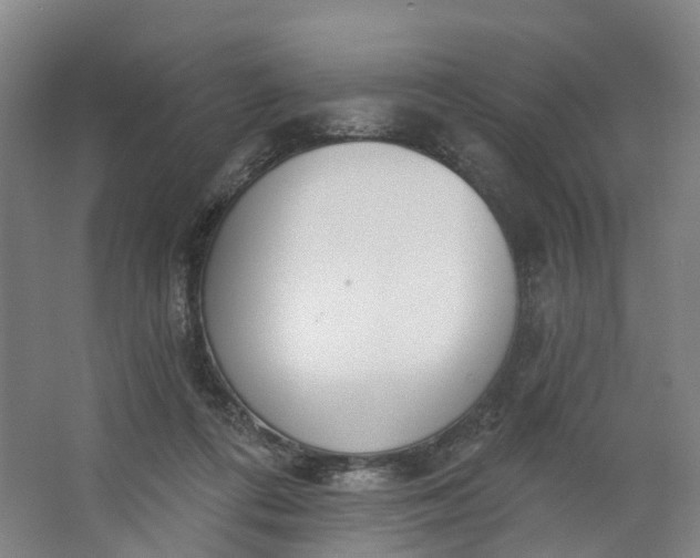 X0000062860312200601271537