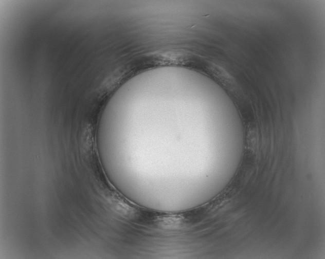 X0000062860318200601271537