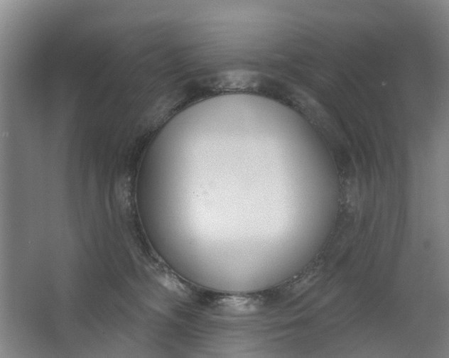 X0000062860326200601271536