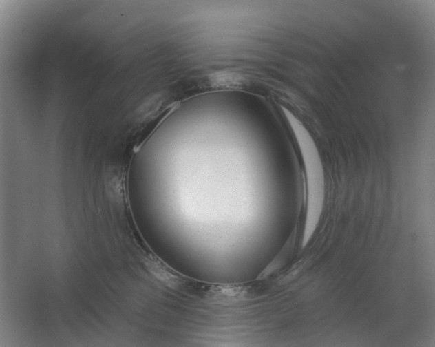X0000062860329200601271536