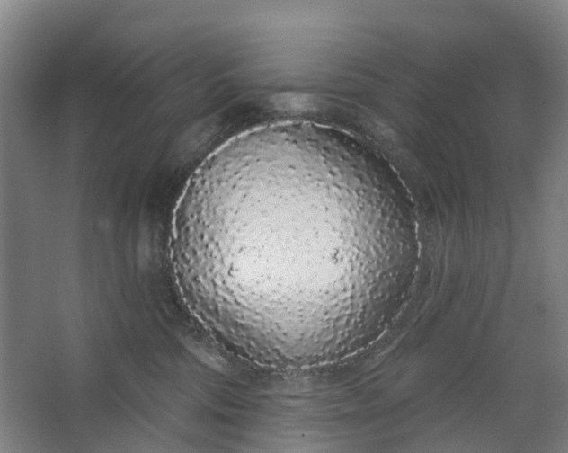 X0000062860330200601271536