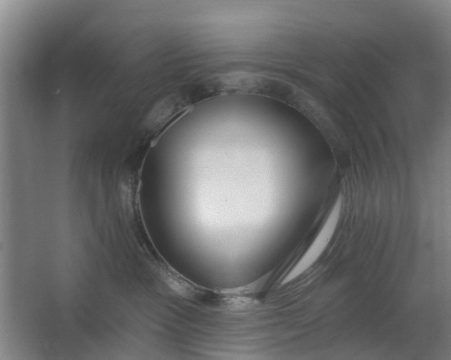 X0000062860333200601271536