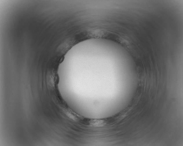 X0000062860334200601271536