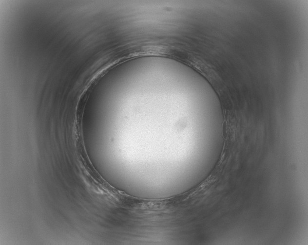 X0000062860338200601271535