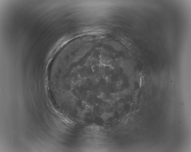 X0000062860339200601271535