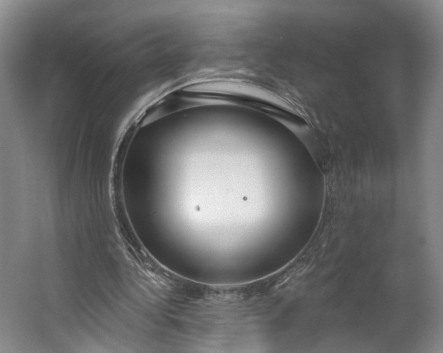 X0000062860340200601271536