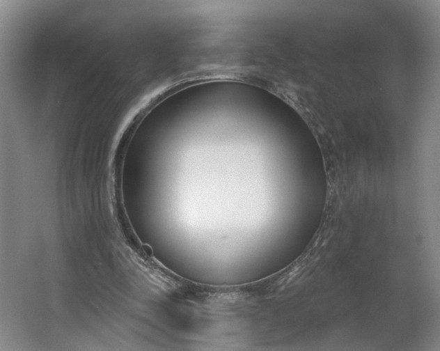 X0000062860342200601271536