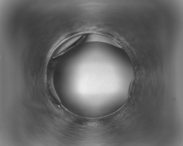 X0000062860344200601271536