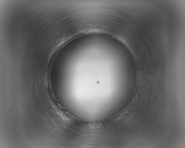 X0000062860345200601271536