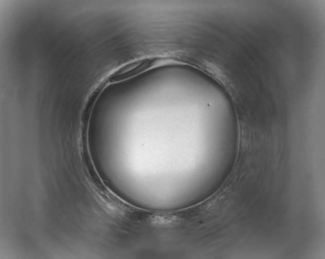 X0000062860346200601271536