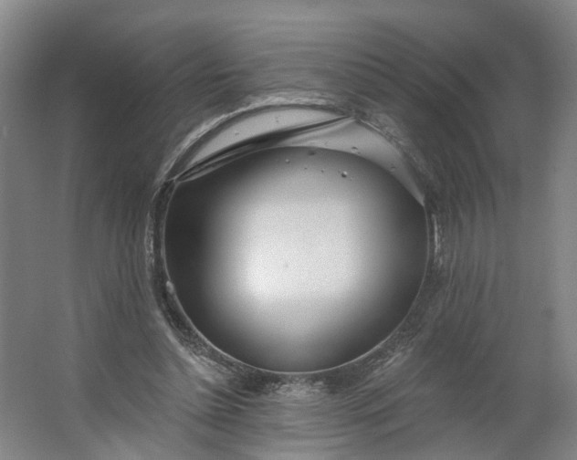 X0000062860348200601271536