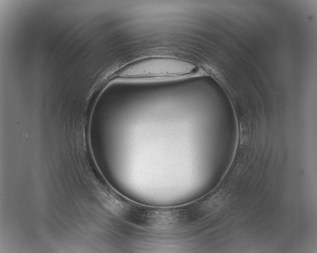 X0000062860349200601271536