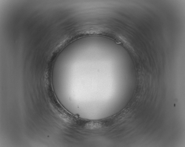 X0000062860354200601271536
