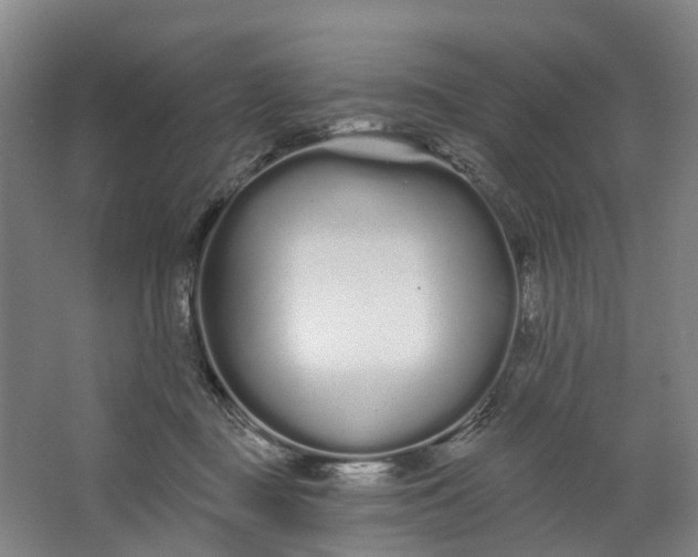 X0000062860363200601271536