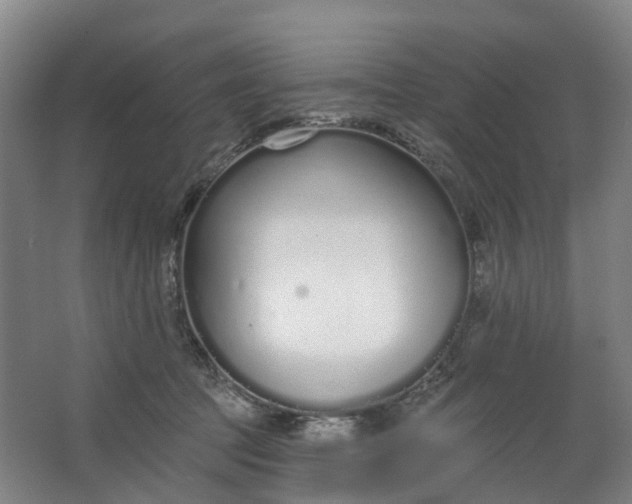 X0000062860369200601271536