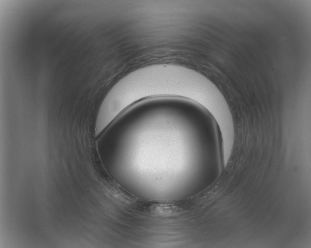 X0000062860372200601271536