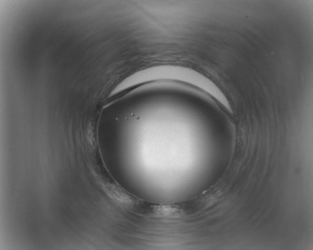 X0000062860380200601271536