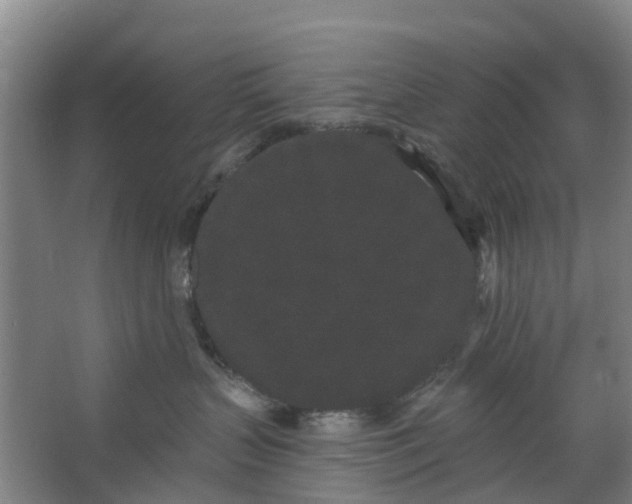 X0000062860383200601271536