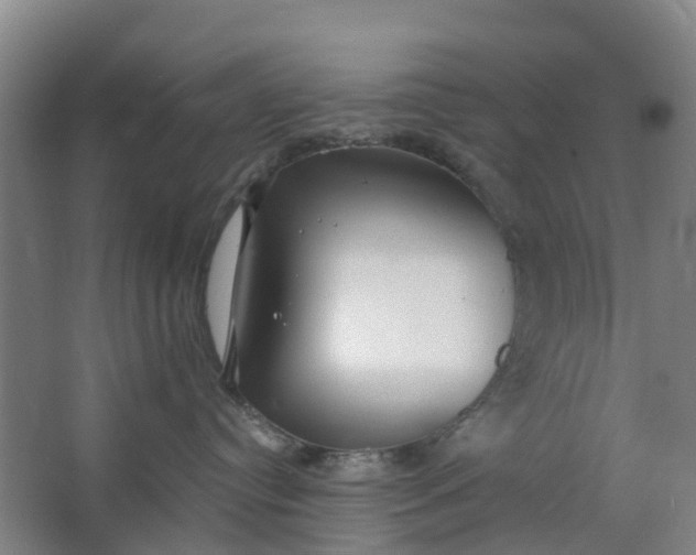 X0000062860384200601271536