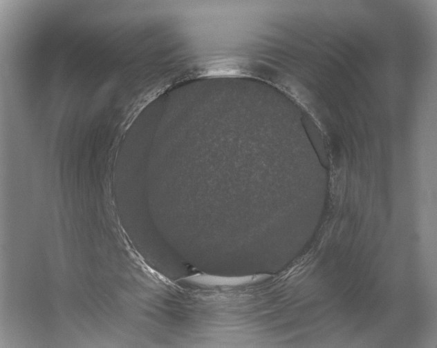 X0000062860385200601271535