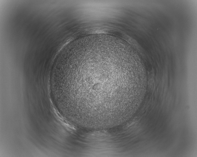 X0000062860386200601271535