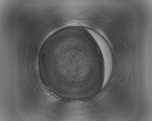 X0000062860387200601271535