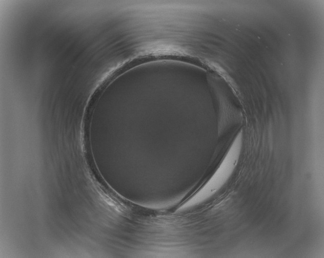 X0000062860391200601271535