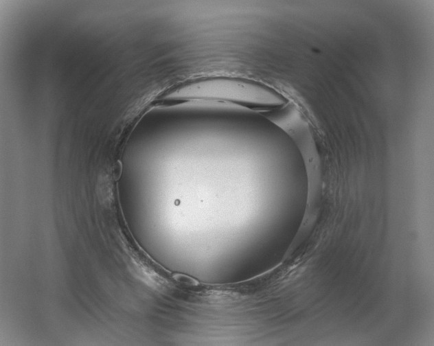 X0000062860393200601271535