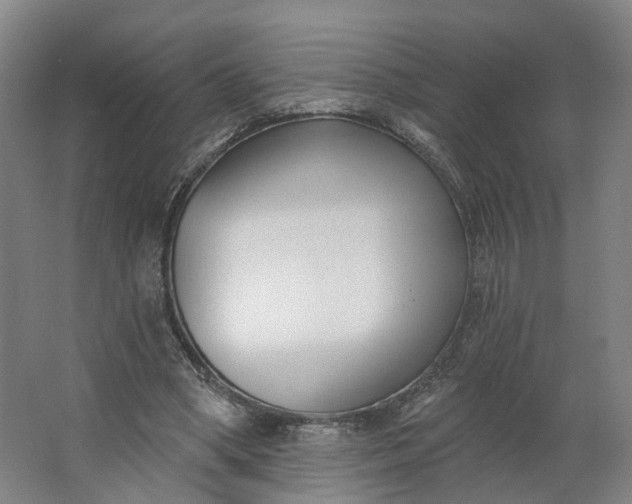 X0000062860394200601271535