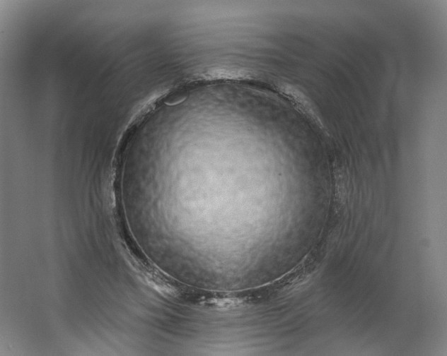 X0000062860395200601271535