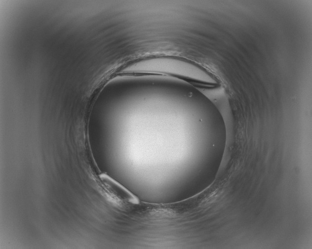 X0000062860397200601271535