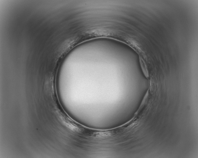 X0000062860398200601271535