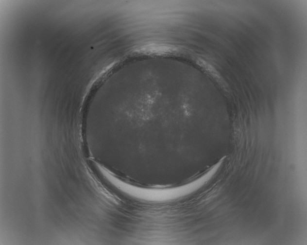 X0000062860399200601271535