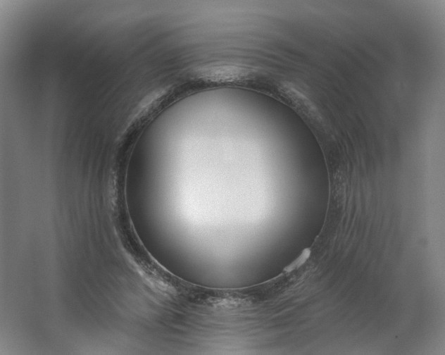 X0000062860400200601271535