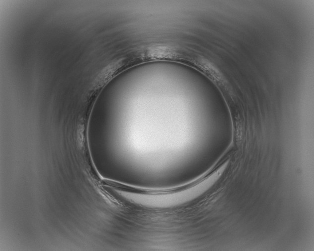 X0000062860401200601271535