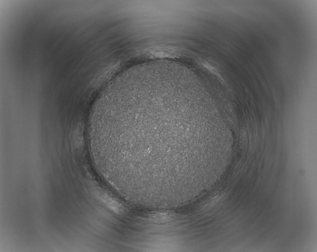 X0000062860402200601271535