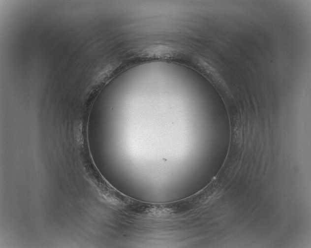 X0000062860403200601271535