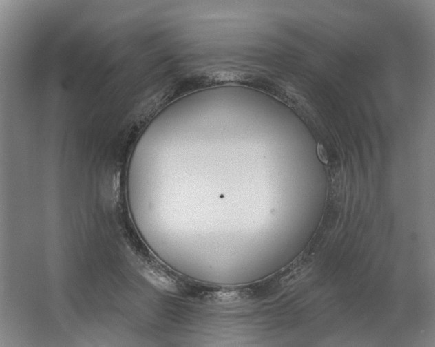 X0000062860406200601271535