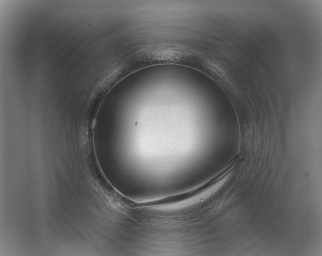 X0000062860407200601271535