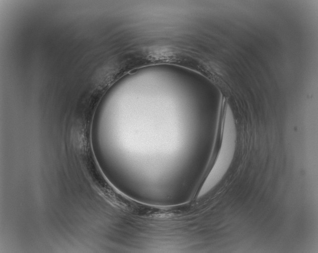 X0000062860408200601271535