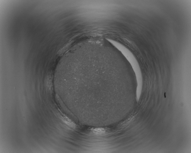 X0000062860409200601271535