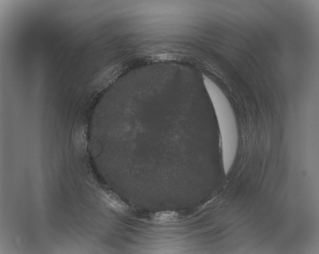 X0000062860410200601271535