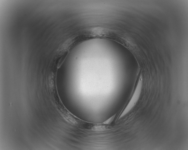 X0000062860413200601271535