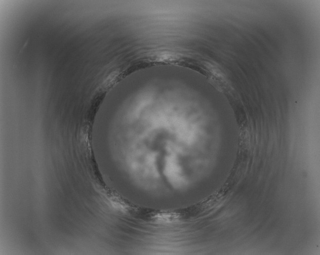 X0000062860415200601271535