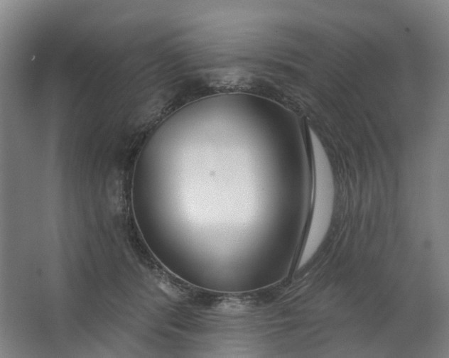 X0000062860416200601271535