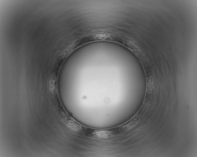X0000062860417200601271535