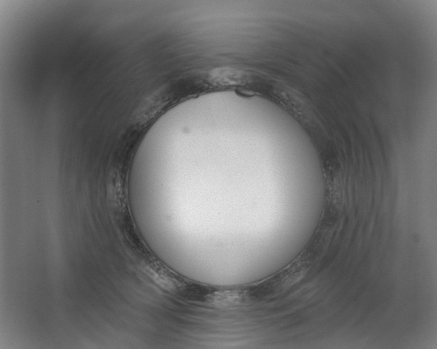 X0000062860418200601271535