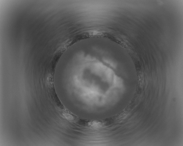 X0000062860419200601271535