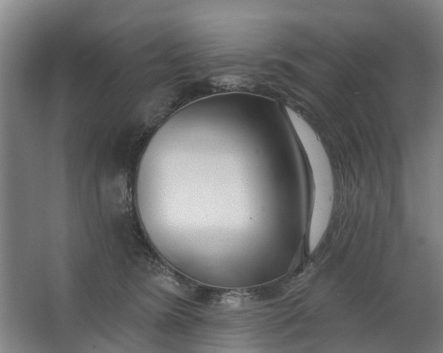 X0000062860420200601271535